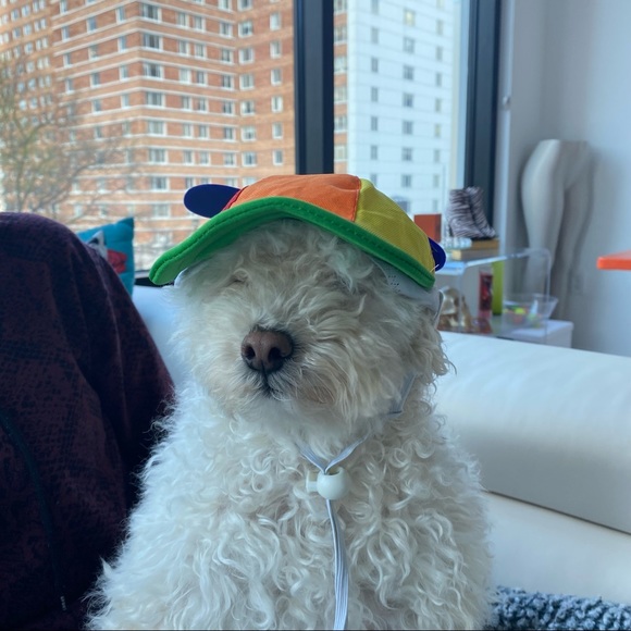 ❤️ Dog Propeller Rainbow Color Block Baseball Cap Hat Visor - Picture 3 of 6